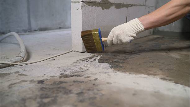 SJ Waterproofing Pros Emergency Waterproofing coverage map for Trinity, AL and surrounding area
